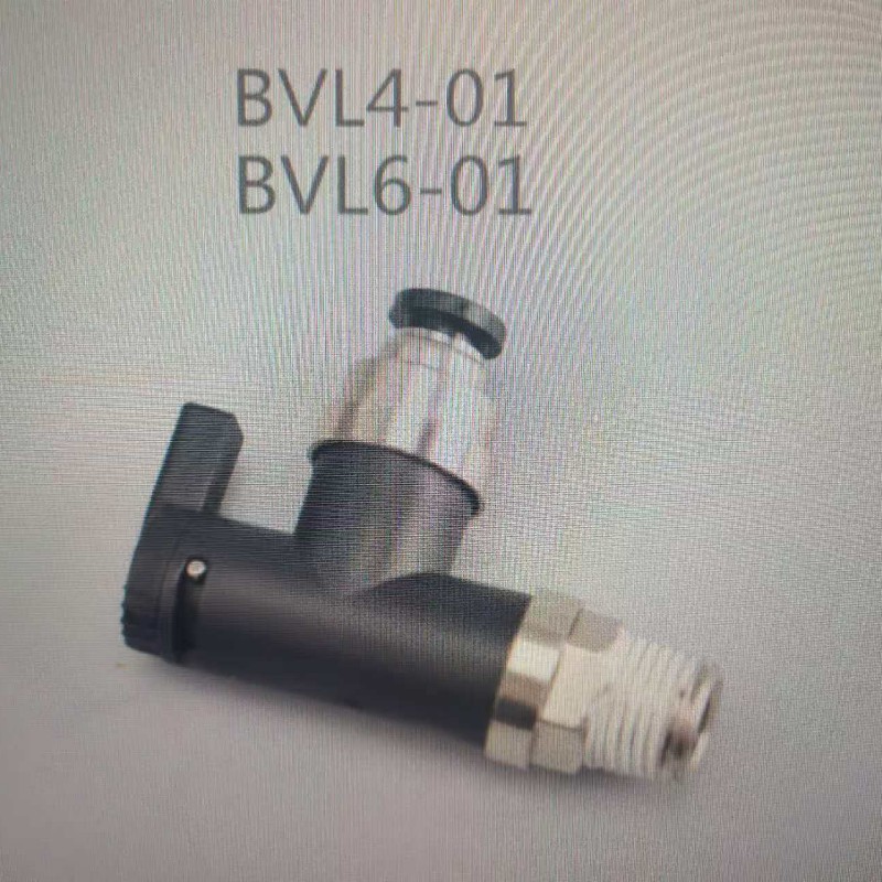 BVL4、6-01